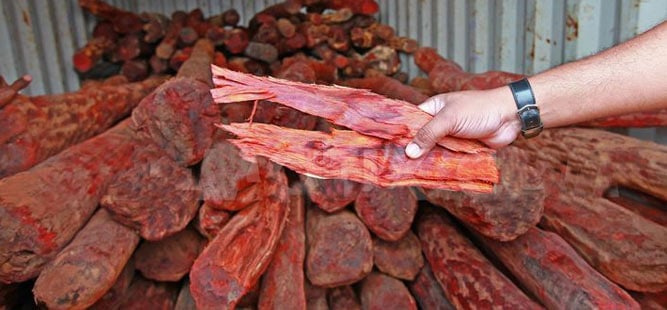 Gỗ tử đàn giá bao nhiêu 1kg hiện nay?
