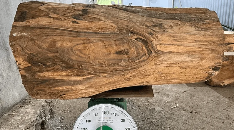 So sánh gỗ bách xanh và ngọc am thì nên chọn loại nào?
