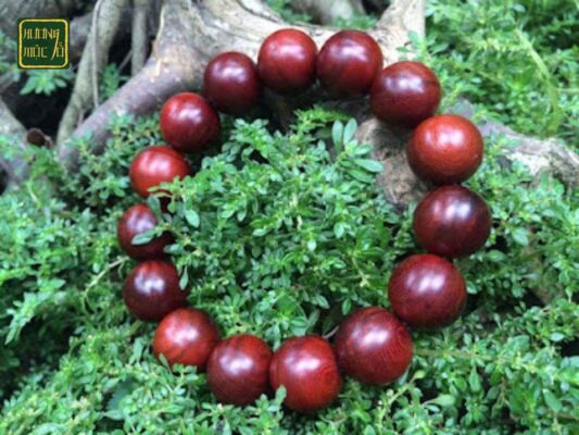 Gỗ tử đàn giá bao nhiêu 1kg?