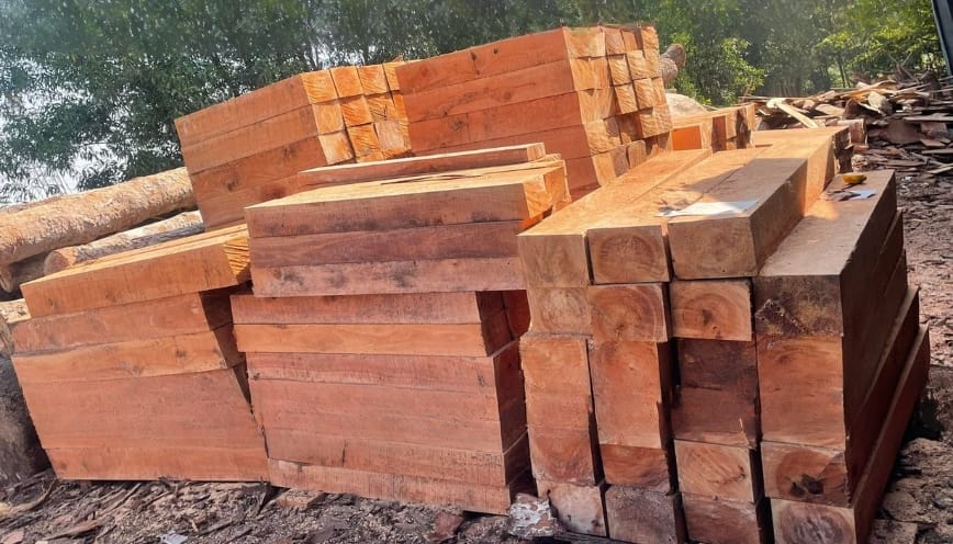 Đặc điểm dễ nhận biết
