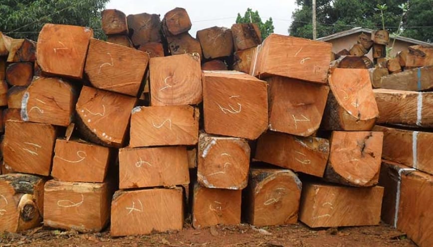 Gỗ được ứng dụng trong lĩnh vực xây dựng