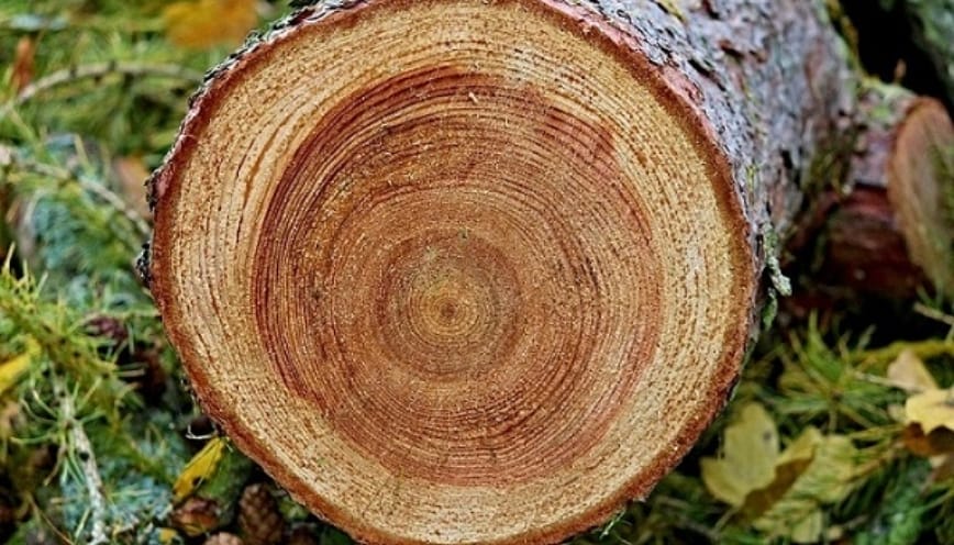Gỗ khé được chia thành nhiều loại