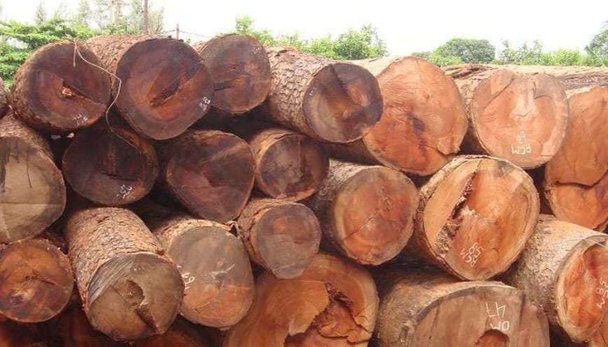 Gụ hương có tốt không?