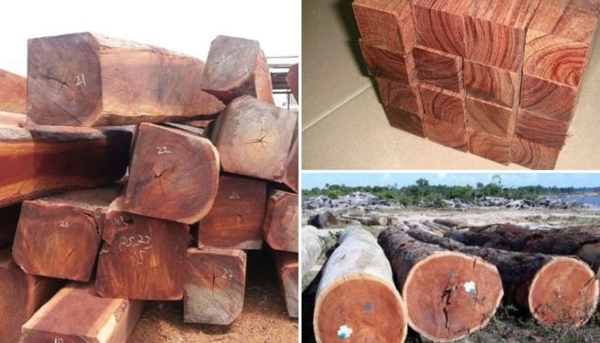 Loại gỗ này thuộc nhóm mấy?