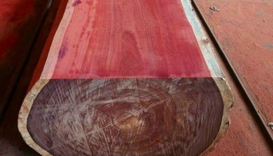 Nguồn gốc và khu vực phân bố của gỗ hương