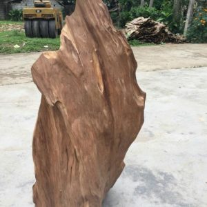 Lợi ích khi để gỗ ngọc am trong nhà