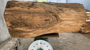 So sánh gỗ bách xanh và ngọc am thì nên chọn loại nào?