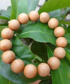 Vòng Đeo Tay Gỗ Ngọc Am 18 Ly